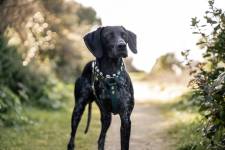 Marine PEQUIN - PHOTOGRAPHY QLM